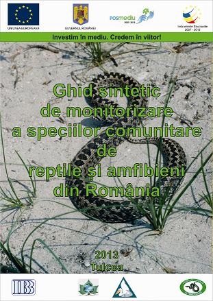 Cover of Ghid sintetic de monitorizare a speciilor comunitare de reptile şi amfibieni din România